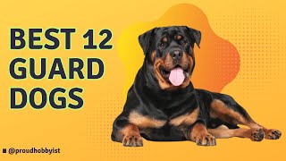 12 Guard Dogs For Your Family  Best Guard Dogs  Proud Hobbyist [upl. by Eniroc]