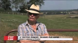 EXTRAIT  Le trotteur français toujours plus rapide  Equidia Live [upl. by Ayikat]