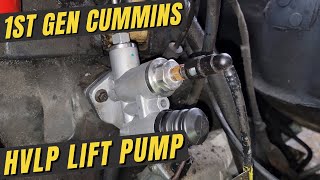 HVLP Lift Pump Install  1st Gen Cummins [upl. by Meikah]