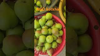 pear fruitcultivation peartree fruitfarming viralvideo [upl. by Gnaig]