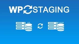 WP STAGING PRO  Quick Overview of new Database Migration Feature [upl. by Nabetse]