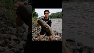 Catching The Flathead Catfish on Lures [upl. by Kathlin]