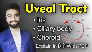 Uveal Tract Notes  Explain in Hindi with PDF notes  Abhishek Insight AbhishekInsight477 [upl. by Mik]