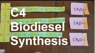 C4 Biodiesel Synthesis SL IB Chemistry [upl. by Anib]