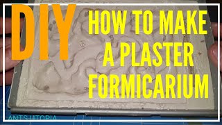 💡DIY👍 HOW TO MAKE A PLASTER FORMICARIUM [upl. by Ehcrop]