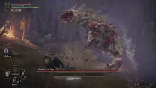 Ulcerated tree spirit RL1 0 fail [upl. by Velasco842]