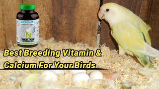 Nekton MSA Bird Vitamins  Calcium for breeding time  Best Calcium for Birds  Breeding Tips [upl. by Lait]