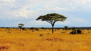 Unmasking East Africas Fascinating Climate  Equator [upl. by Ralyat]