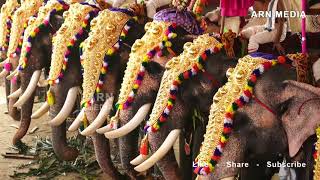 Tripunithura Utsavam 2018  Thirumunbil Melam  Peruvanam Kuttan Marar [upl. by Binette]