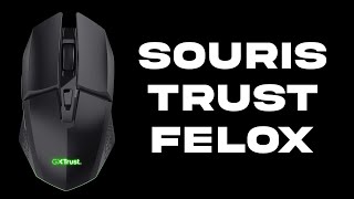 UNE SOURIS SANS FIL A 20 EUROS  TEST DE LA TRUST FELOX [upl. by Adlai]