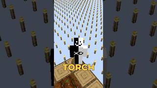 Minecraft But The World Is TORCH… [upl. by Leboff]