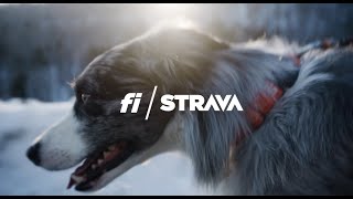 ALLNEW Fi  Strava [upl. by Lloyd]