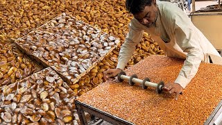 PEANUT CHIKKI MAKING SKILLS  Live Moongfali Recipe Amazing Street Food Jaggery Bar Food Processing [upl. by Aliuqehs246]