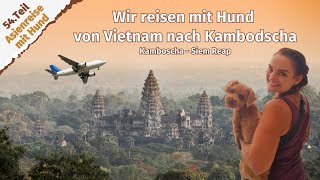 Wir reisen mit Hund von Vietnam nach Kambodscha ● Kambodscha ● Siem Reap ● Vlog 75 [upl. by Elocin]