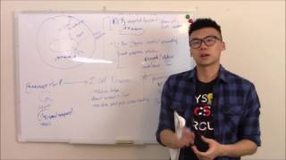 USMLE Biochemistry 19 Cell Biology Structure Organelles and Cytoskeleton [upl. by Haidadej238]