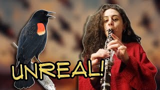 Redwinged Blackbird  Song as Sheet Music and performed [upl. by Dareg]