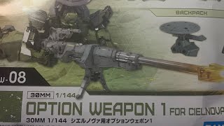 30 minute mission option weapons 1 for cielnova [upl. by Nesilla439]