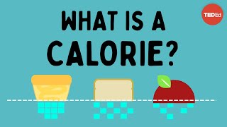 What is a calorie  Emma Bryce [upl. by Cicero]