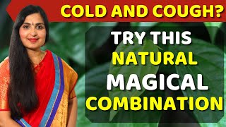 How To Get Rid Of COLD FAST  Remove Chest Congestion Cough  Best Home Remedy For Cold cold [upl. by Gayleen]