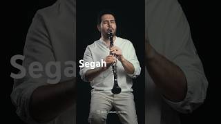 Improvisation Segah کلارینت youtubeshorts clarinet klarnet [upl. by Derek]