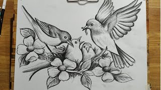 HOW TO DRAW BIRD FAMILYBIRD AND FLOWERS DRAWING WITH PENCIL SKETCHBIRD amp NEST DRAWINGBIRD DRAWING [upl. by Leon473]