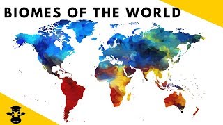 7 Biomes of the World Facts [upl. by Adnilav]