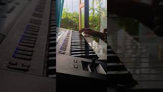 Siloh DynastyNovocainePiano Cover [upl. by Onin730]