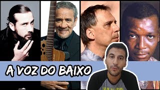 TIPOS DE VOZ A VOZ DO BAIXO [upl. by Alcock56]