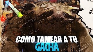 COMO TAMEAR A TU GACHA  Guia Español  Ark Survival Evolved [upl. by Omar]