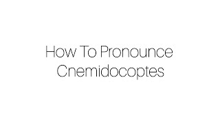 How To Pronounce Cnemidocoptes [upl. by Pennebaker]