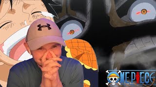 Picas Voice Reveal  One Piece Reaction Episode 683 Reaction [upl. by Ahsatsan]