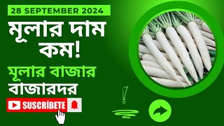 মূলার দাম কম ২৭ সেপ্টেম্বর ২০২৪ ।। মূলার বাজারদর ।। মহাস্থান সবজি বাজার কৃষিচিত্র [upl. by Lativa]