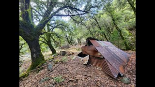 Abandoned Gold Mine Overloaded With Quartz amp Crystals [upl. by Pallaton802]