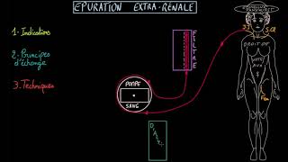 Epuration extra rénale  Dr Synapse [upl. by Notyalc433]