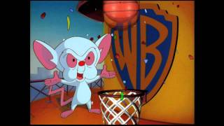 Kids WB Bumbers And IDs part 2 [upl. by Frans615]