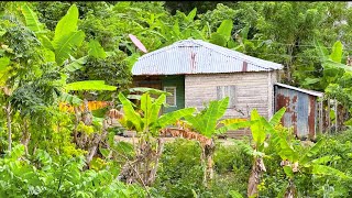 CAMPOS DE REPÚBLICA DOMINICANA DONDE CASI NO VIVE GENTE [upl. by Martell39]