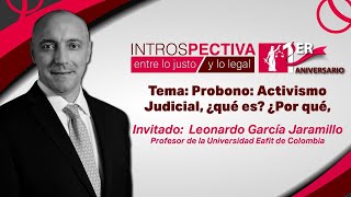 Activismo Judicial ¿qué es ¿Por qué para quién [upl. by Burgwell]