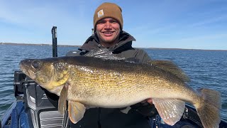 Sniping Giant Green Bay Walleyes With Livescope 30 incher and 60 Fish Day [upl. by Dranreb]