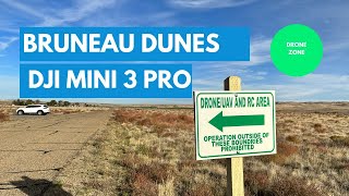 Bruneau Sand Dunes  DJI Mini 3 Pro  Sunrise Flight [upl. by Efthim]