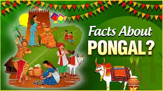 Interesting Facts amp Importance About Pongal  The Indian Harvest Festival  Pongal Festival 2022 [upl. by Eniahpets]