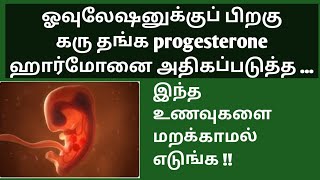 Progesterone rich foods in Tamil  progesterone boosting foods in Tamil  Foods for after ovulation [upl. by Nura86]