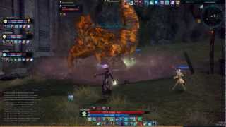 TERA BAM hunting Lurking Storm Lizard [upl. by Claudine]