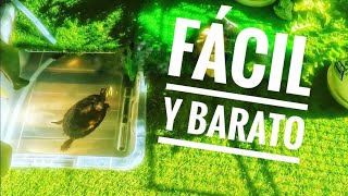 🐢 Cómo hacer ACUARIO para TORTUGAS casero 🐢 [upl. by Aicertap]