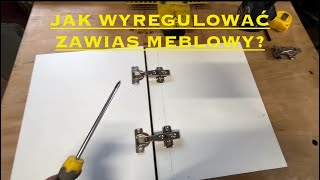 JAK WYREGULOWAĆ ZAWIASY MEBLOWE  INSTRUKTAŻ [upl. by Drye]