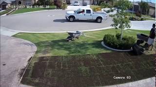 Organic Composted Manure on Lawn  Time Lapse  Central California  Amazing Results [upl. by Ayotol]