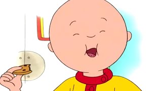 Caillous Cookie  Caillou Cartoon [upl. by Aveline464]