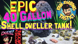 Epic 40 gallon shell dweller tank [upl. by Ranger]