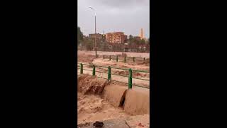 Algeria news  footage of the flooding in this afternoon in Béchar [upl. by Ydner]