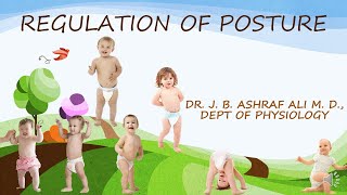 Regulation of Posture by Dr JB Ashraf Ali MD [upl. by Enneiluj]