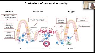 Controllers of mucosal immunity by Dr Ramnik Xavier [upl. by Otrebire652]